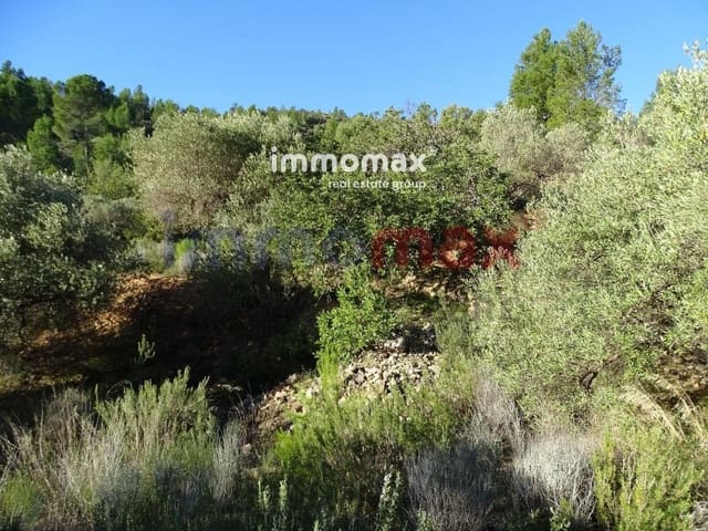Undeveloped Land for sale in Xerta - € 49,000 (Ref: 8050301)
