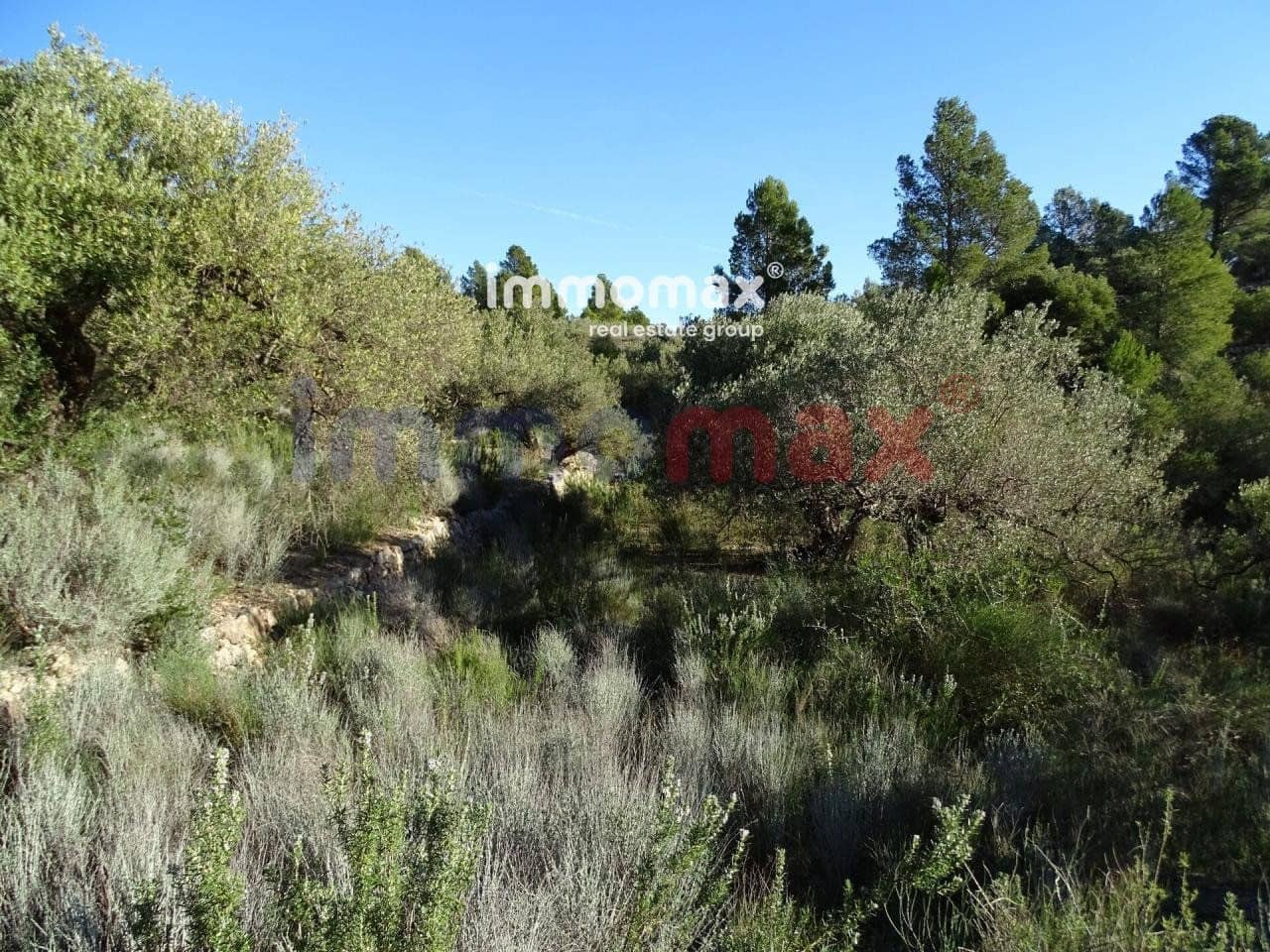 Terre non Aménagée à vendre à Xerta - 49 000 € (Ref: 8050301)