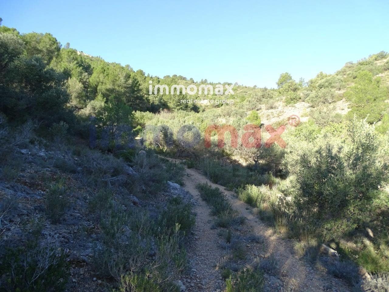 Terre non Aménagée à vendre à Xerta - 49 000 € (Ref: 8050301)