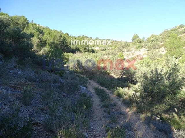 Undeveloped Land for sale in Xerta - € 49,000 (Ref: 8050301)