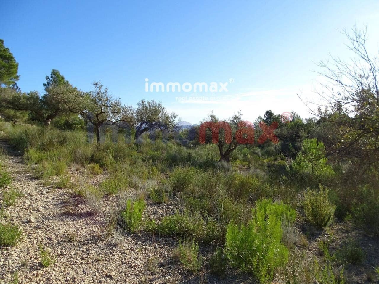 Terre non Aménagée à vendre à Xerta - 49 000 € (Ref: 8050301)