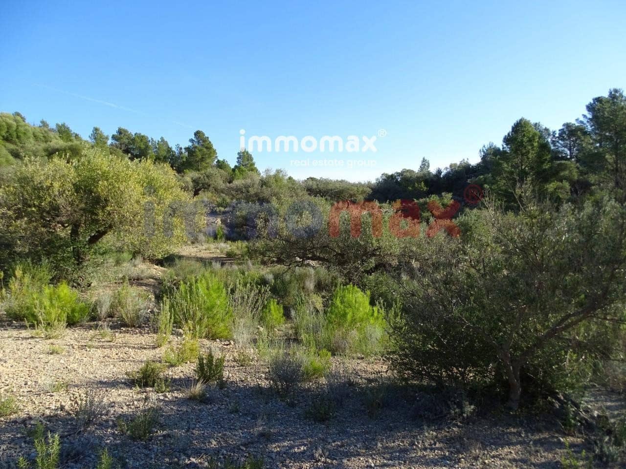 Terre non Aménagée à vendre à Xerta - 49 000 € (Ref: 8050301)