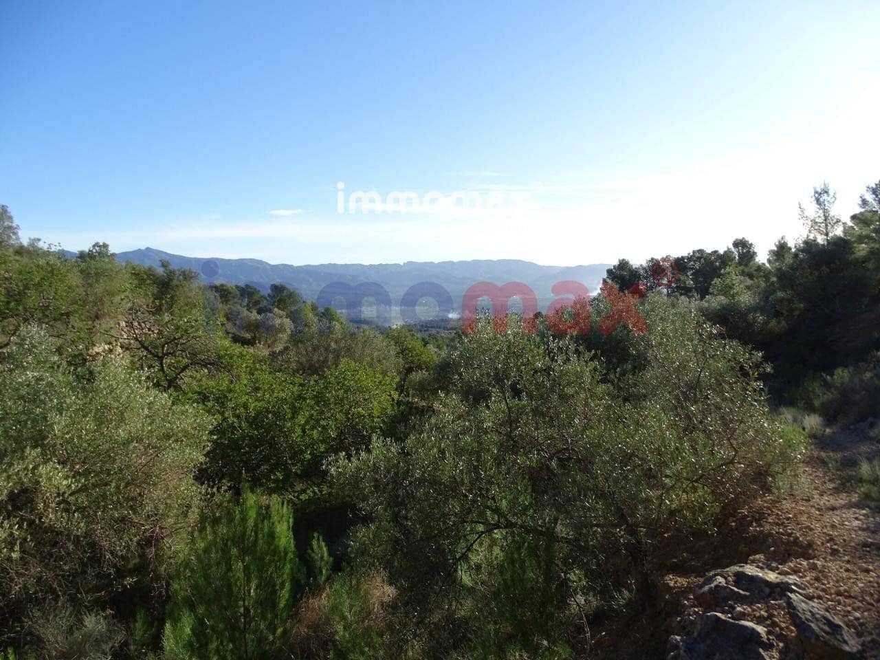 Terre non Aménagée à vendre à Xerta - 49 000 € (Ref: 8050301)