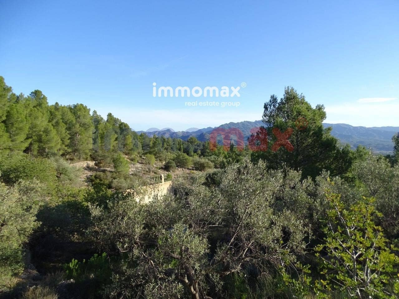 Terre non Aménagée à vendre à Xerta - 49 000 € (Ref: 8050301)