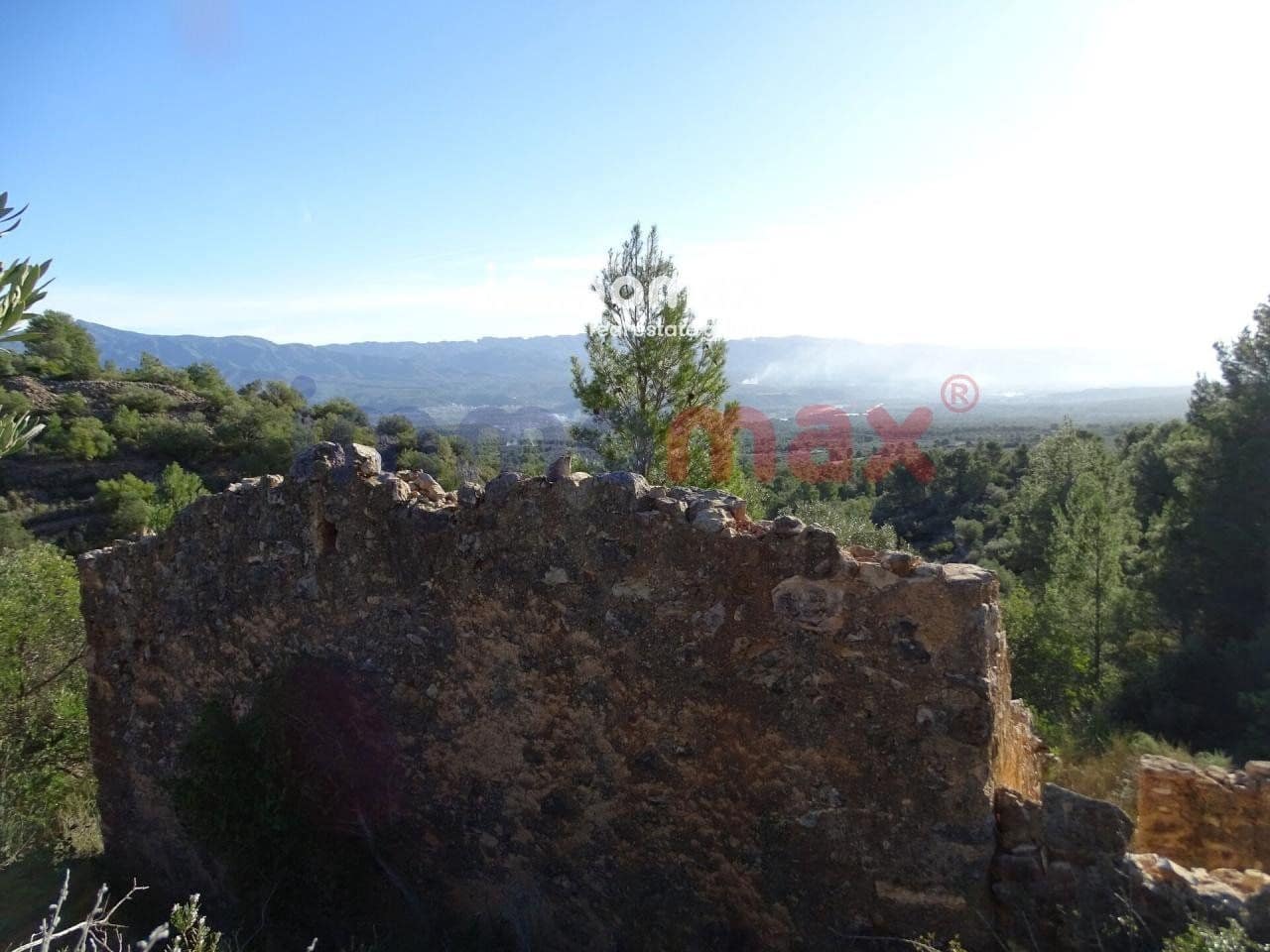 Terre non Aménagée à vendre à Xerta - 49 000 € (Ref: 8050301)