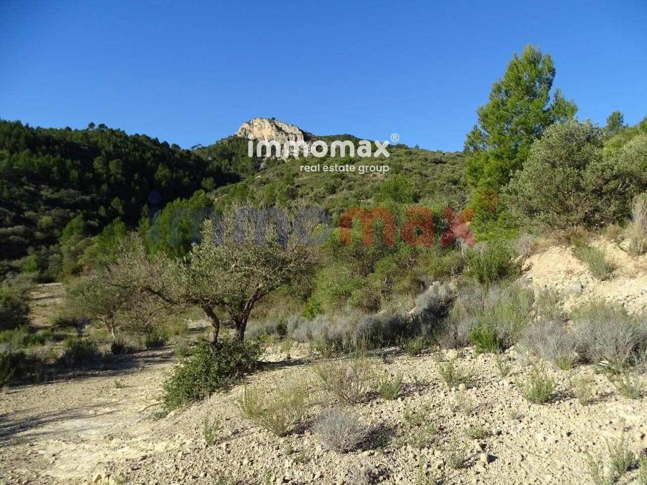 Terre non Aménagée à vendre à Xerta - 49 000 € (Ref: 8050301)