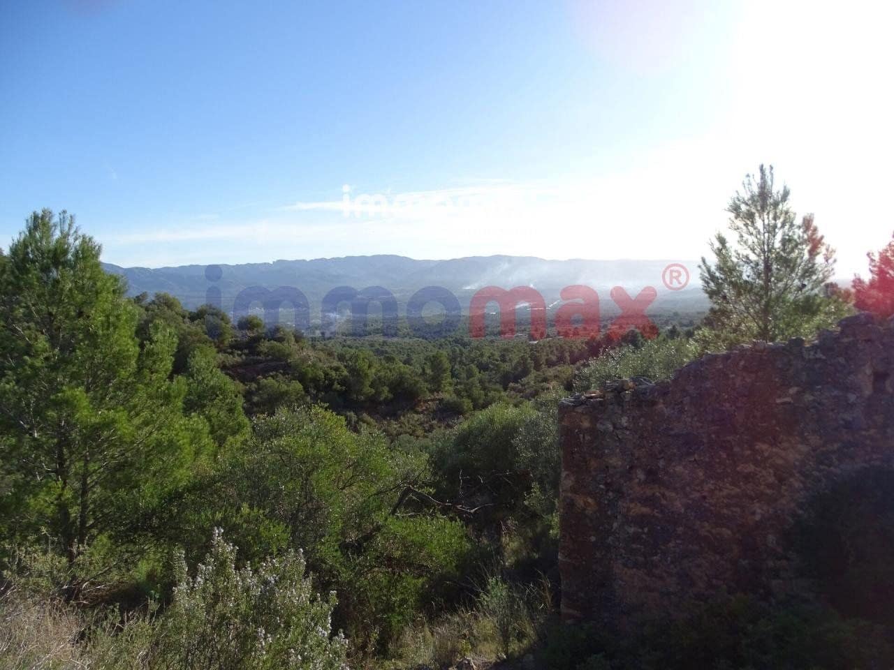 Terre non Aménagée à vendre à Xerta - 49 000 € (Ref: 8050301)