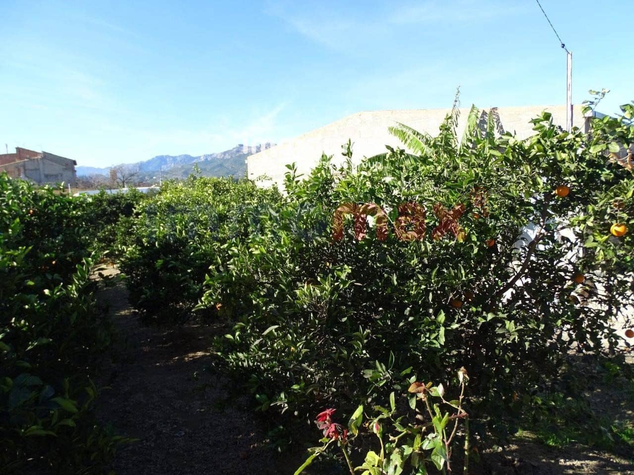 Grunde uden byggetilladelser til salg i Xerta - € 96.000 (Ref: 8050305)