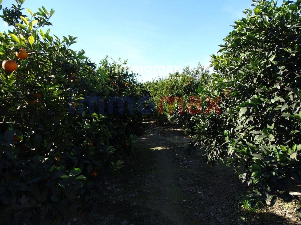 Grunde uden byggetilladelser til salg i Xerta - € 96.000 (Ref: 8050305)