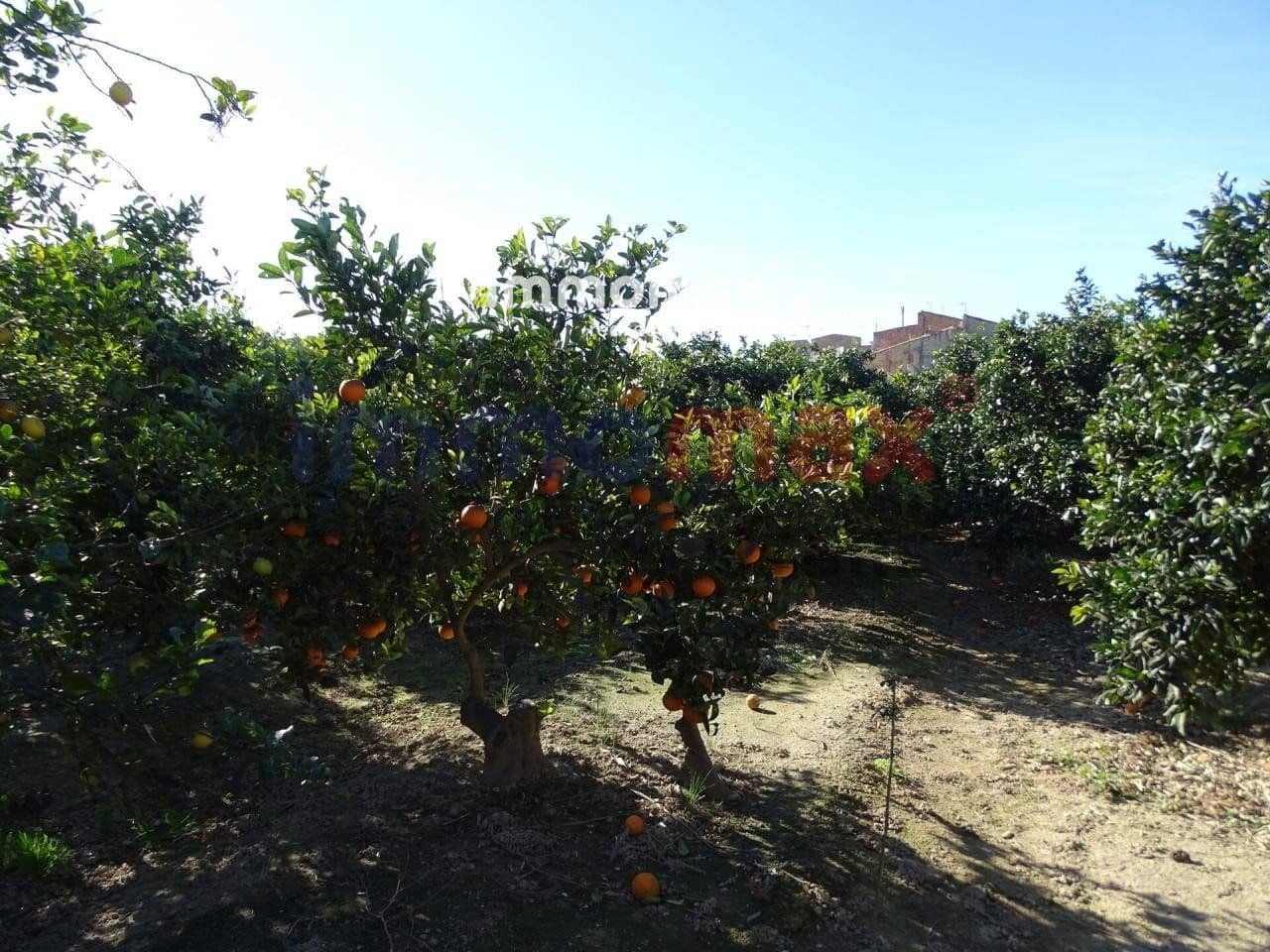 Grunde uden byggetilladelser til salg i Xerta - € 96.000 (Ref: 8050305)