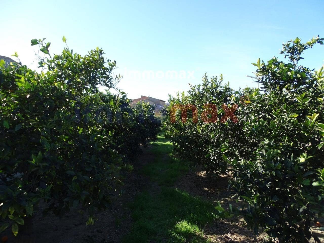 Grunde uden byggetilladelser til salg i Xerta - € 96.000 (Ref: 8050305)