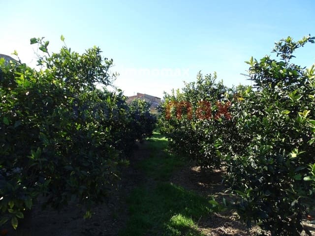 Undeveloped Land for sale in Xerta - € 96,000 (Ref: 8050305)