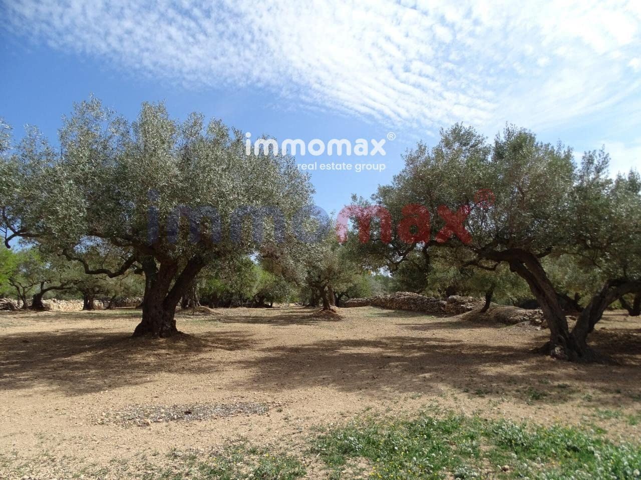 Grunde uden byggetilladelser til salg i L'Ampolla - € 106.000 (Ref: 8050310)