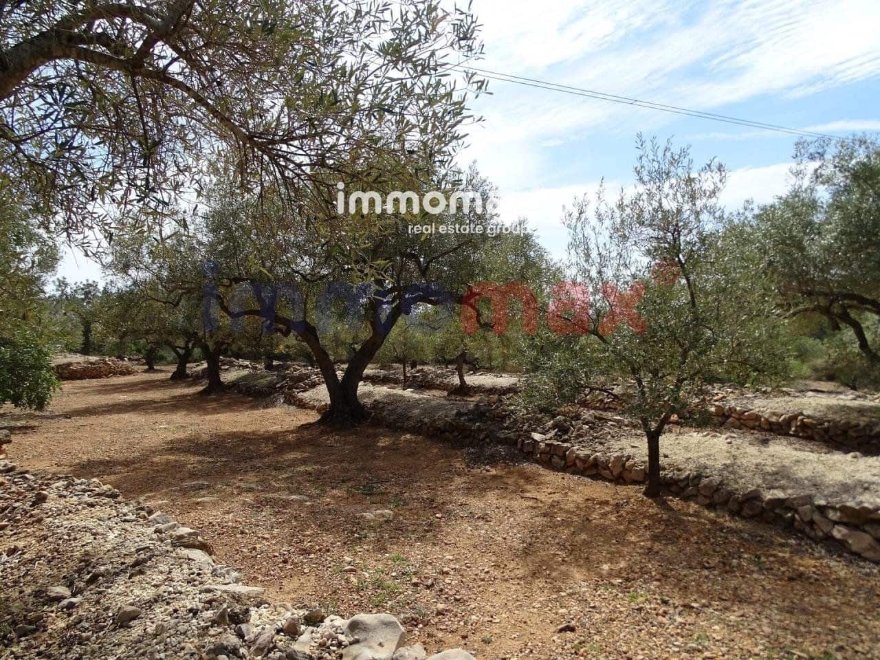 Grunde uden byggetilladelser til salg i L'Ampolla - € 106.000 (Ref: 8050310)