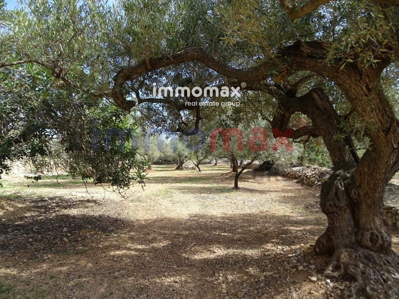 Grunde uden byggetilladelser til salg i L'Ampolla - € 106.000 (Ref: 8050310)