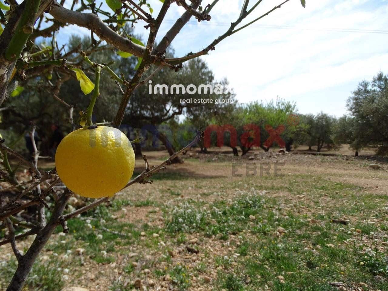 Grunde uden byggetilladelser til salg i L'Ampolla - € 106.000 (Ref: 8050310)