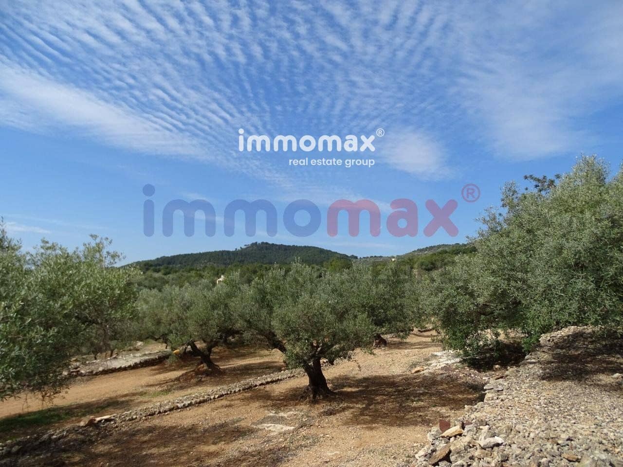 Grunde uden byggetilladelser til salg i L'Ampolla - € 106.000 (Ref: 8050310)