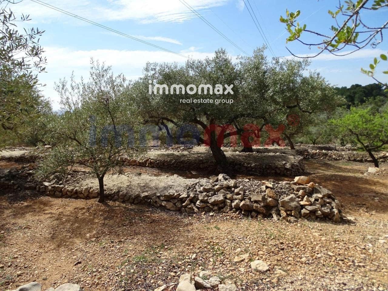 Grunde uden byggetilladelser til salg i L'Ampolla - € 106.000 (Ref: 8050310)