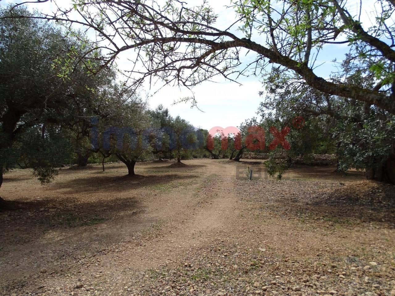 Grunde uden byggetilladelser til salg i L'Ampolla - € 106.000 (Ref: 8050310)