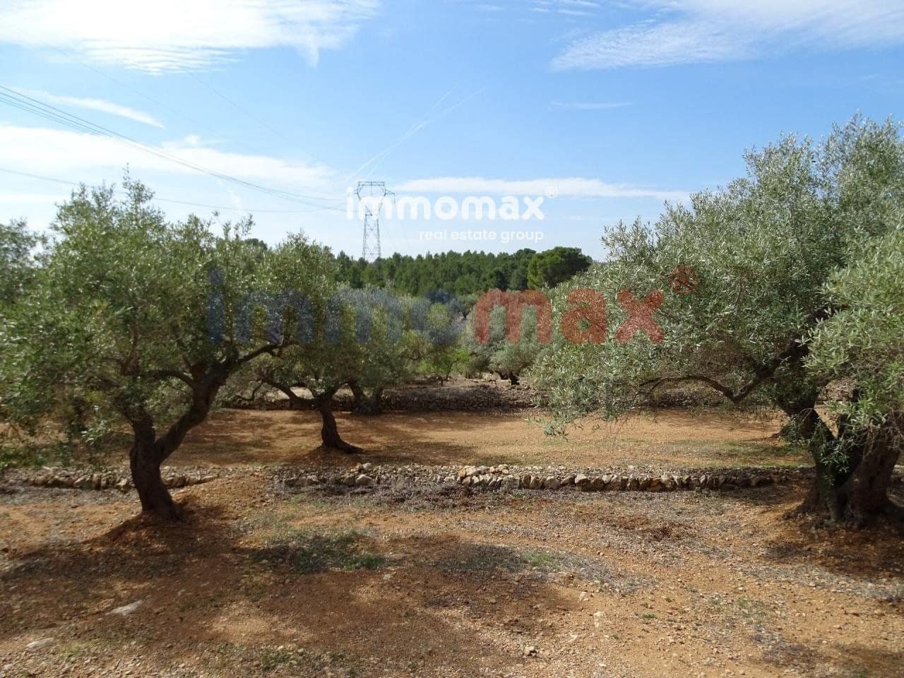 Grunde uden byggetilladelser til salg i L'Ampolla - € 106.000 (Ref: 8050310)