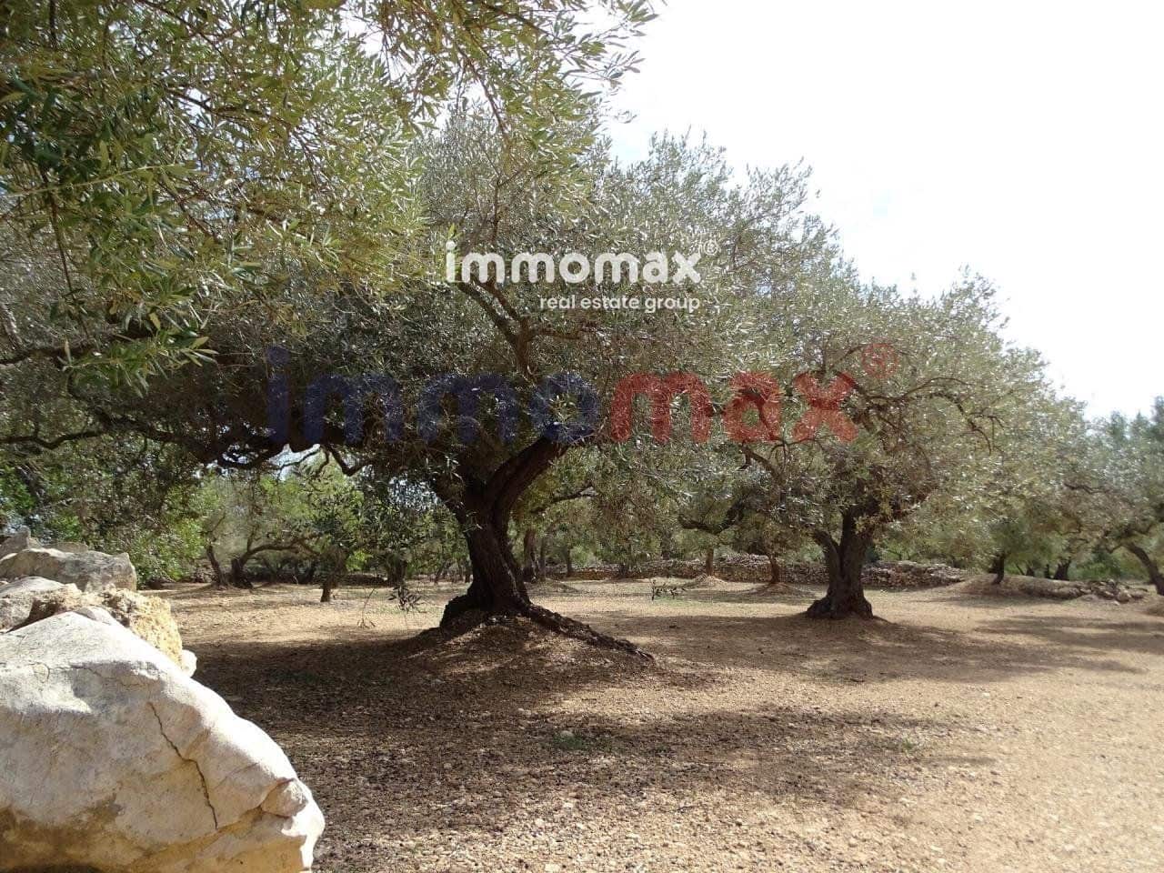 Grunde uden byggetilladelser til salg i L'Ampolla - € 106.000 (Ref: 8050310)