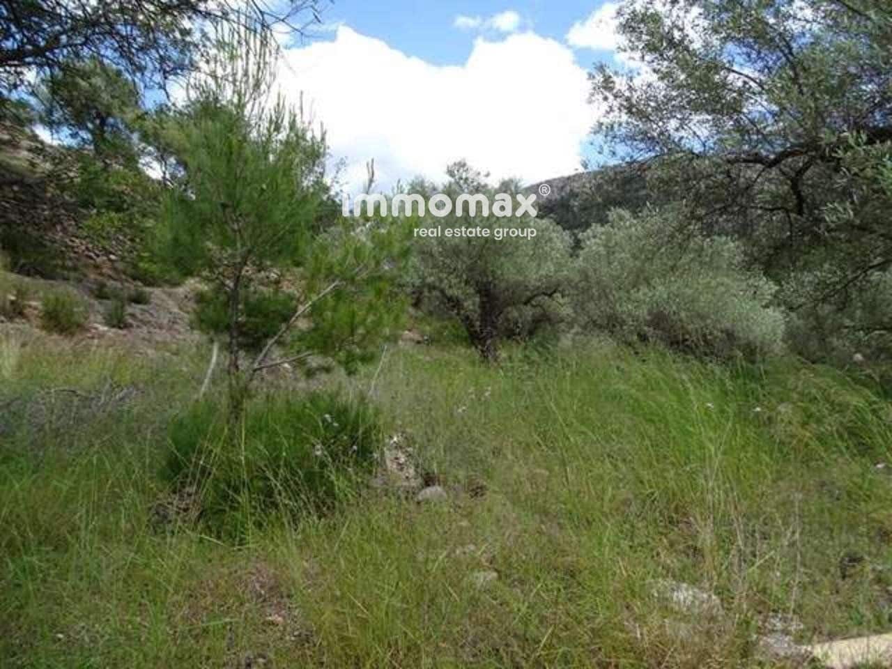 Grunde uden byggetilladelser til salg i Pauls - € 49.000 (Ref: 8050311)