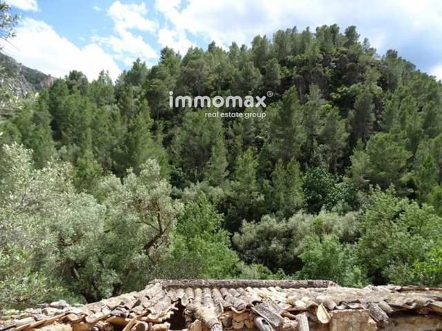 Ubebygd land til salgs i Paüls - € 49 000 (Ref: 8050311)