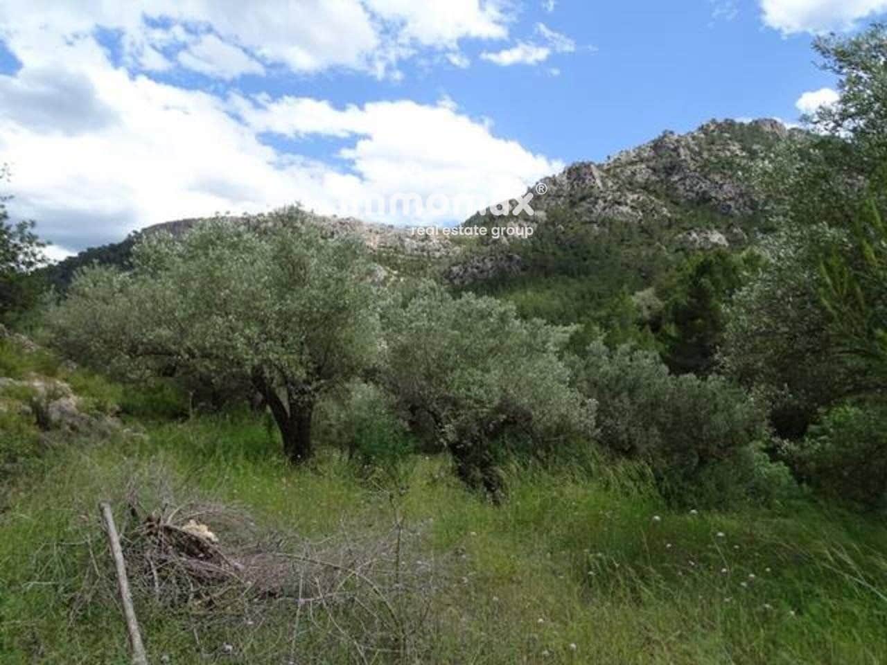 Grunde uden byggetilladelser til salg i Pauls - € 49.000 (Ref: 8050311)