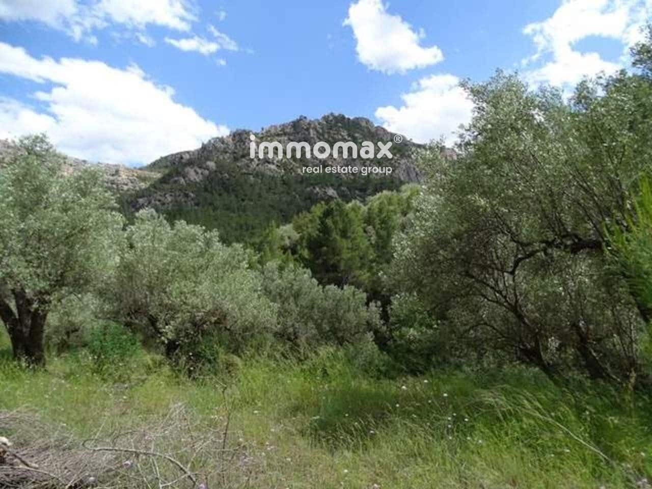 Grunde uden byggetilladelser til salg i Pauls - € 49.000 (Ref: 8050311)