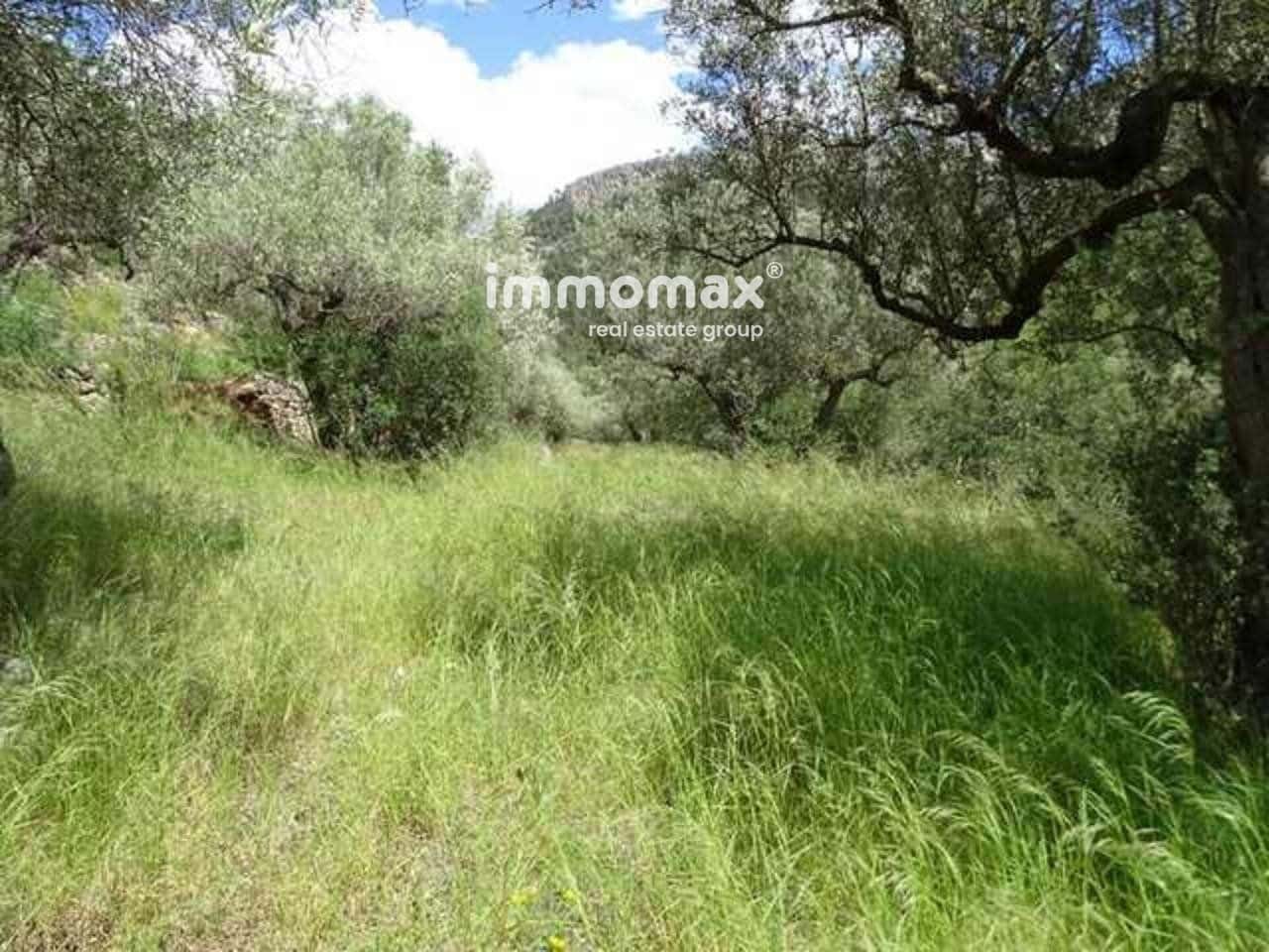 Grunde uden byggetilladelser til salg i Pauls - € 49.000 (Ref: 8050311)