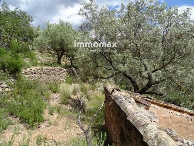 Ubebygd land til salgs i Paüls - € 49 000 (Ref: 8050311)