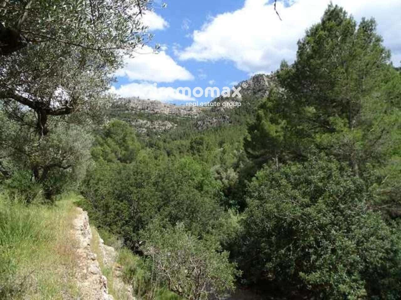 Grunde uden byggetilladelser til salg i Pauls - € 49.000 (Ref: 8050311)