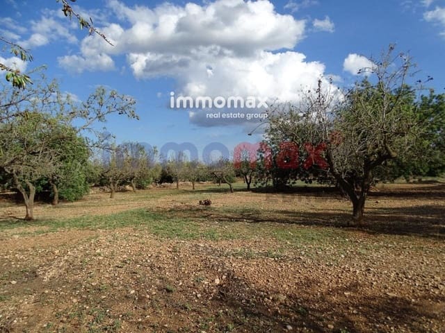 Grunde uden byggetilladelser til salg i El Raval de Crist, Roquetes - € 24.000 (Ref: 8050316)