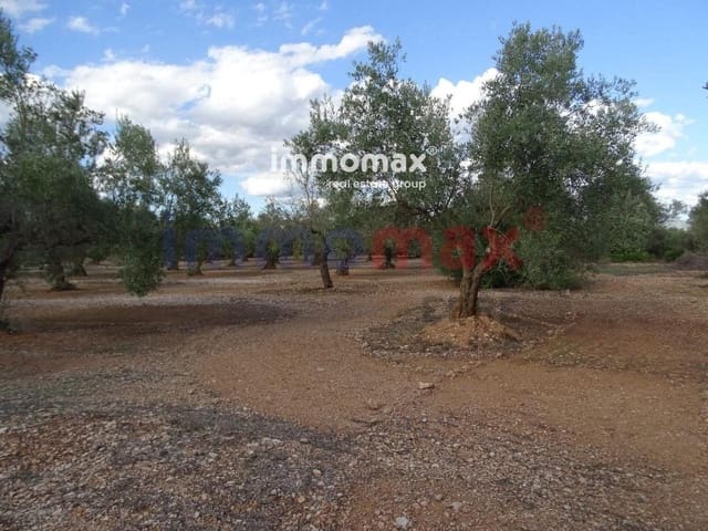 Grunde uden byggetilladelser til salg i El Raval de Crist, Roquetes - € 24.000 (Ref: 8050316)