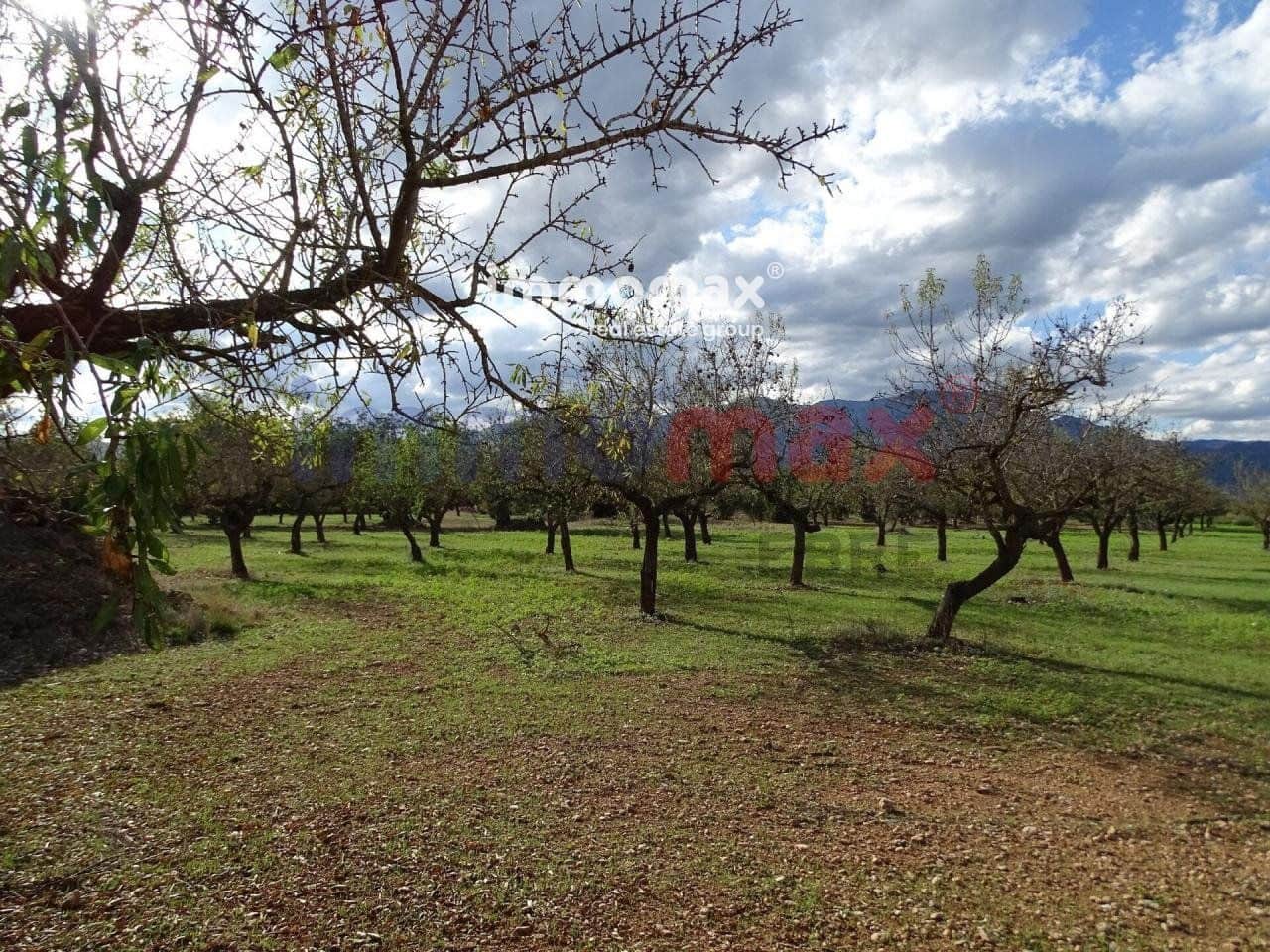 Terreno Não Urbanizado para venda em Roquetes - 24 000 € (Ref: 8050316)