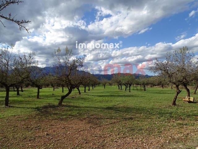 Grunde uden byggetilladelser til salg i El Raval de Crist, Roquetes - € 24.000 (Ref: 8050316)