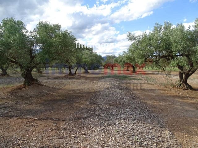 Grunde uden byggetilladelser til salg i El Raval de Crist, Roquetes - € 24.000 (Ref: 8050316)