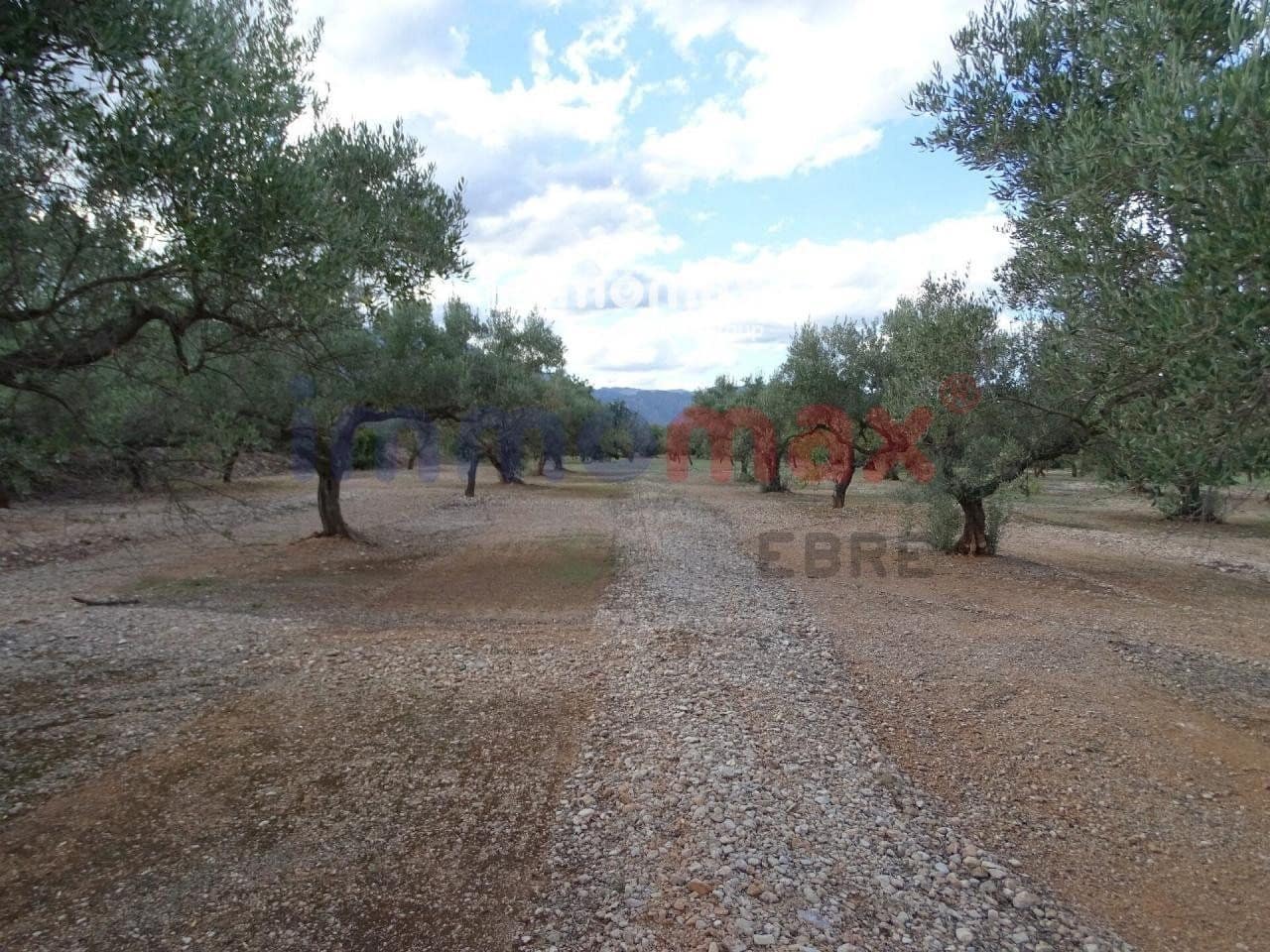 Terreno Não Urbanizado para venda em Roquetes - 24 000 € (Ref: 8050316)