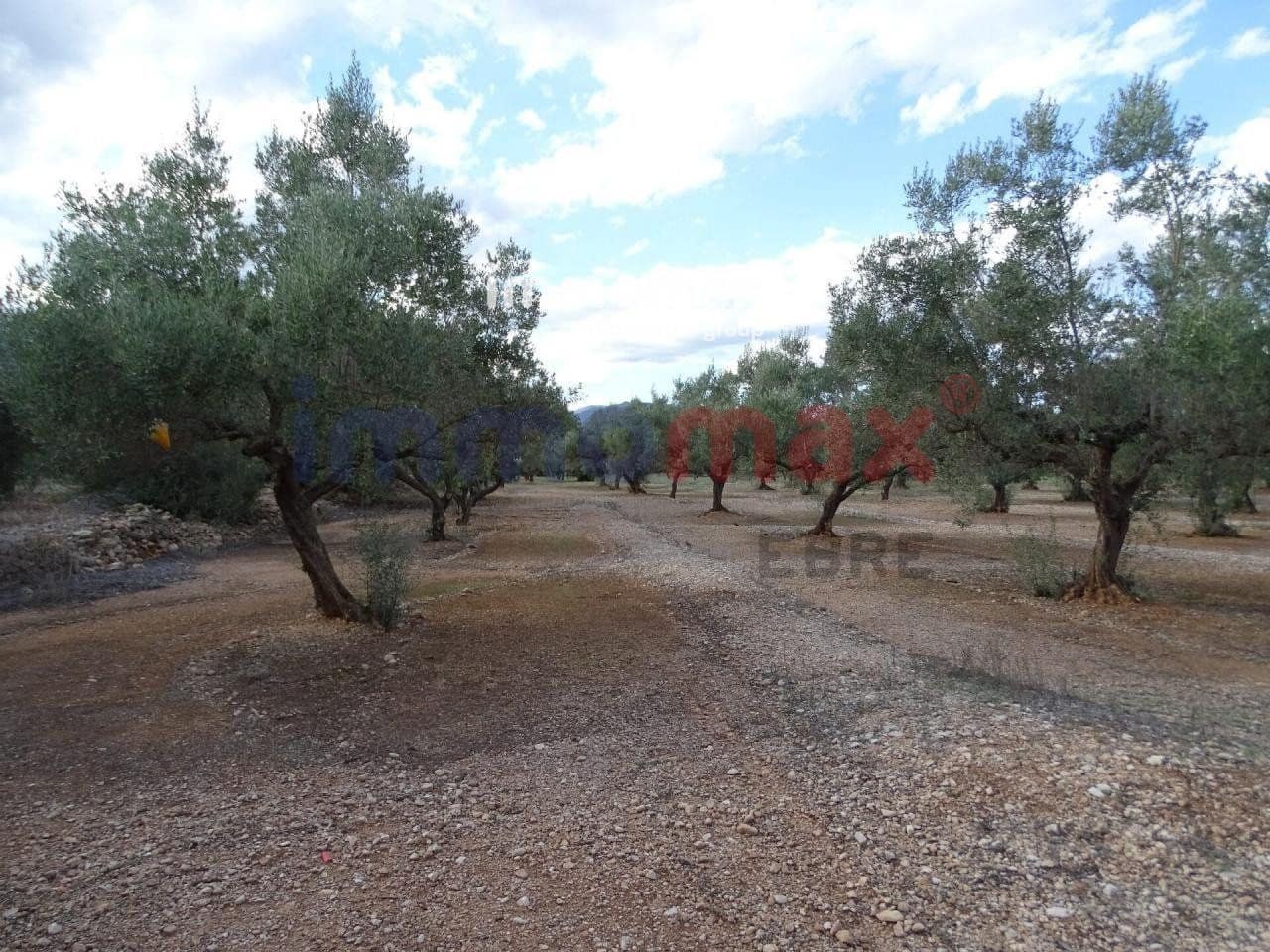 Terreno Não Urbanizado para venda em Roquetes - 24 000 € (Ref: 8050316)