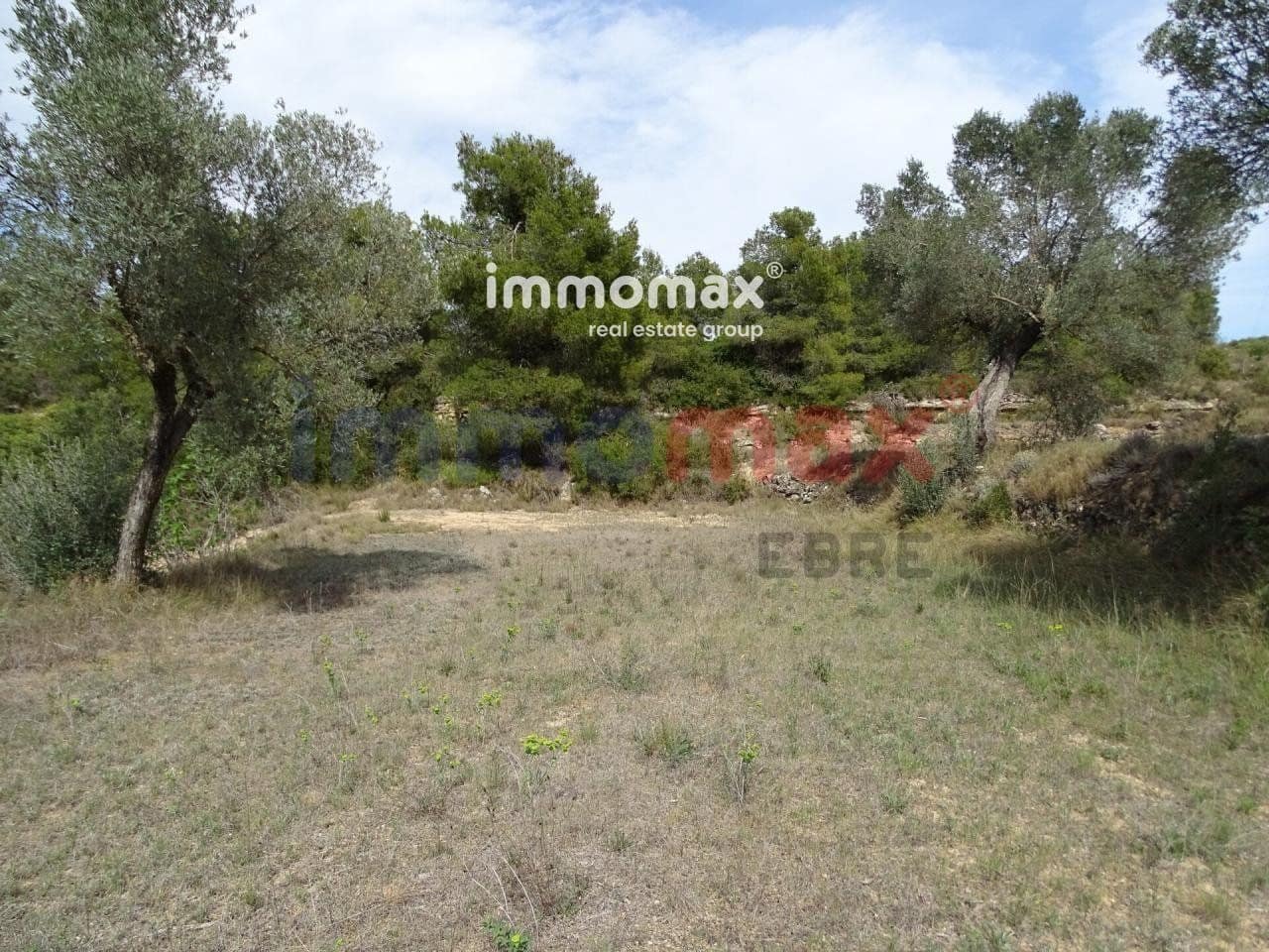 Grunde uden byggetilladelser til salg i Batea - € 30.500 (Ref: 8050319)