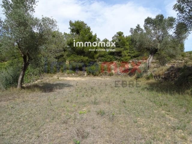 Grond te koop in Batea - € 30.500 (Ref: 8050319)