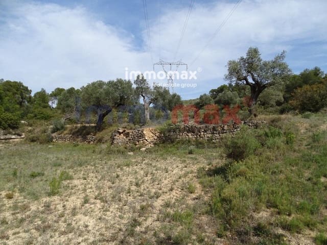 Grond te koop in Batea - € 30.500 (Ref: 8050319)