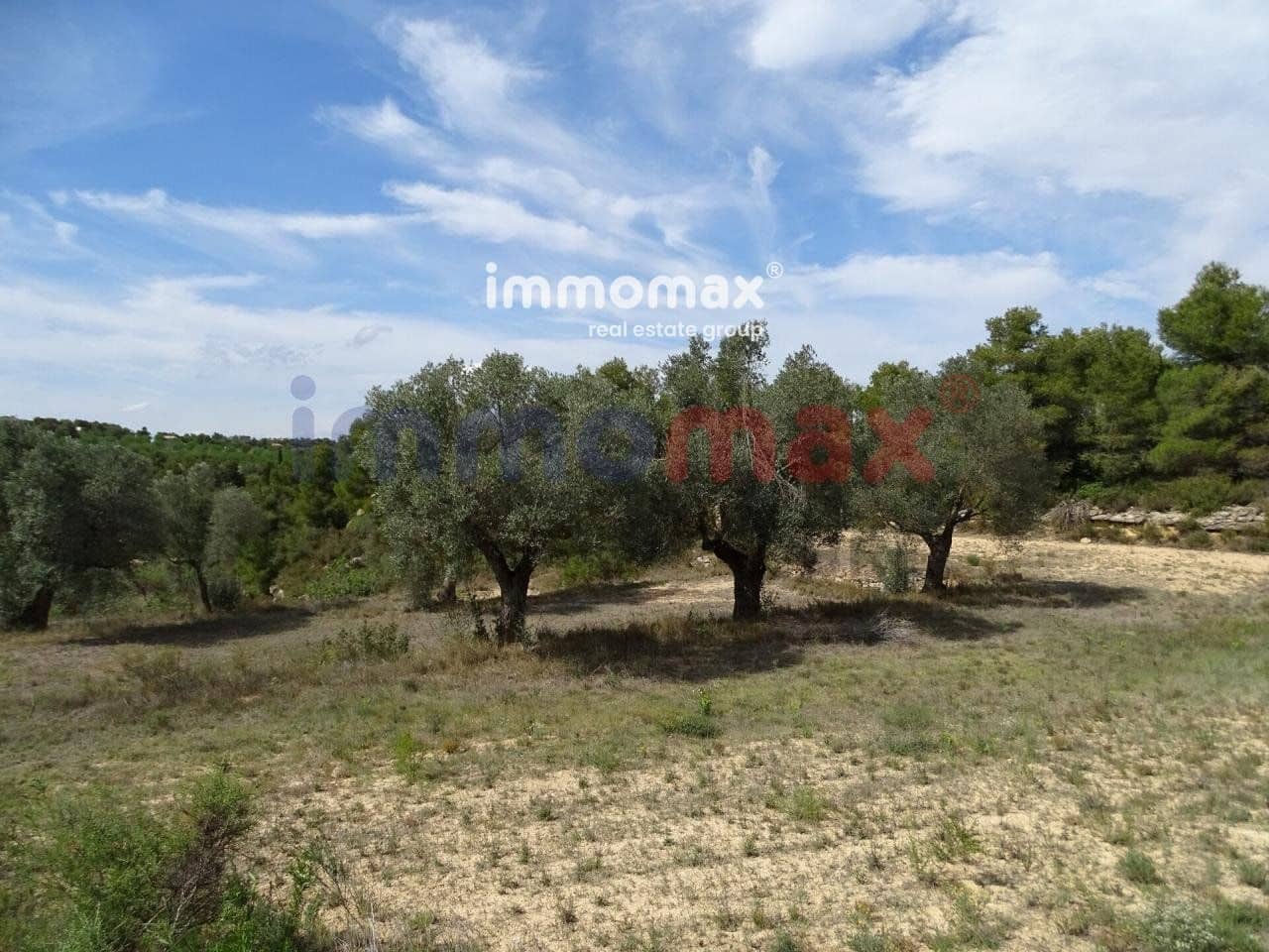 Grunde uden byggetilladelser til salg i Batea - € 30.500 (Ref: 8050319)