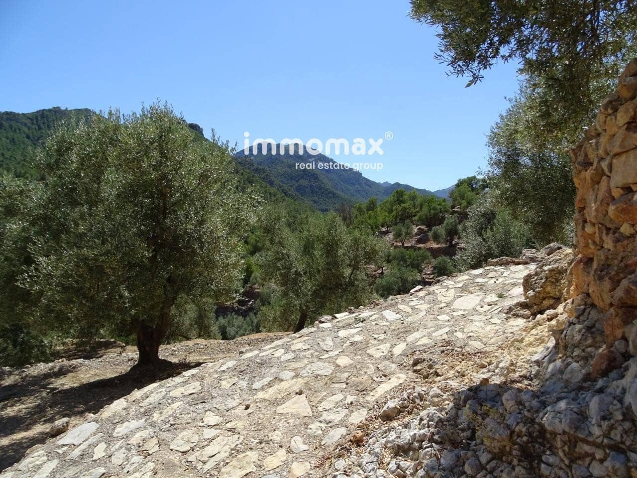 Grunde uden byggetilladelser til salg i Pauls - € 85.000 (Ref: 8050320)