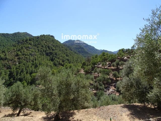 Ubebygd land til salgs i Paüls - € 85 000 (Ref: 8050320)