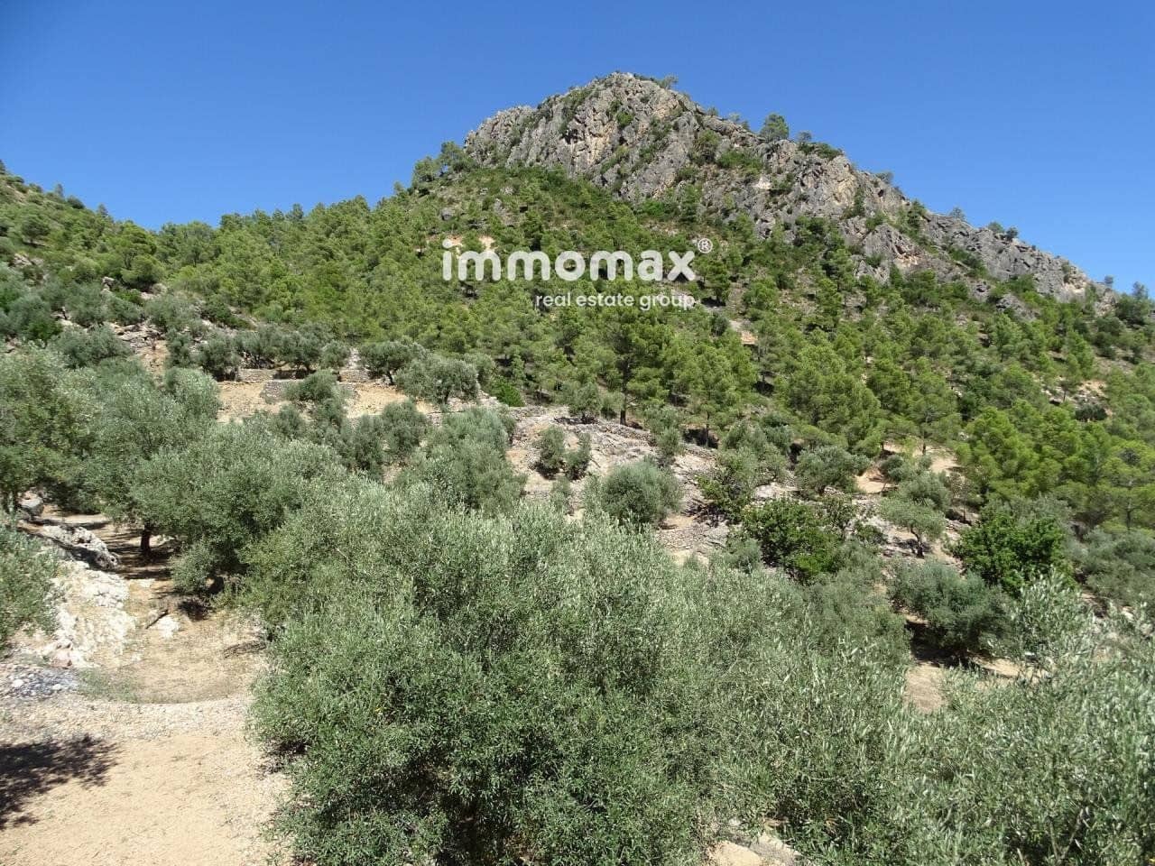 Grunde uden byggetilladelser til salg i Pauls - € 85.000 (Ref: 8050320)