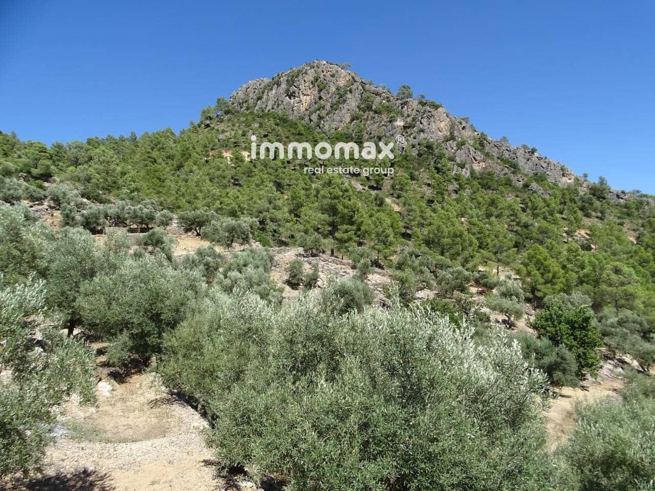 Grunde uden byggetilladelser til salg i Pauls - € 85.000 (Ref: 8050320)