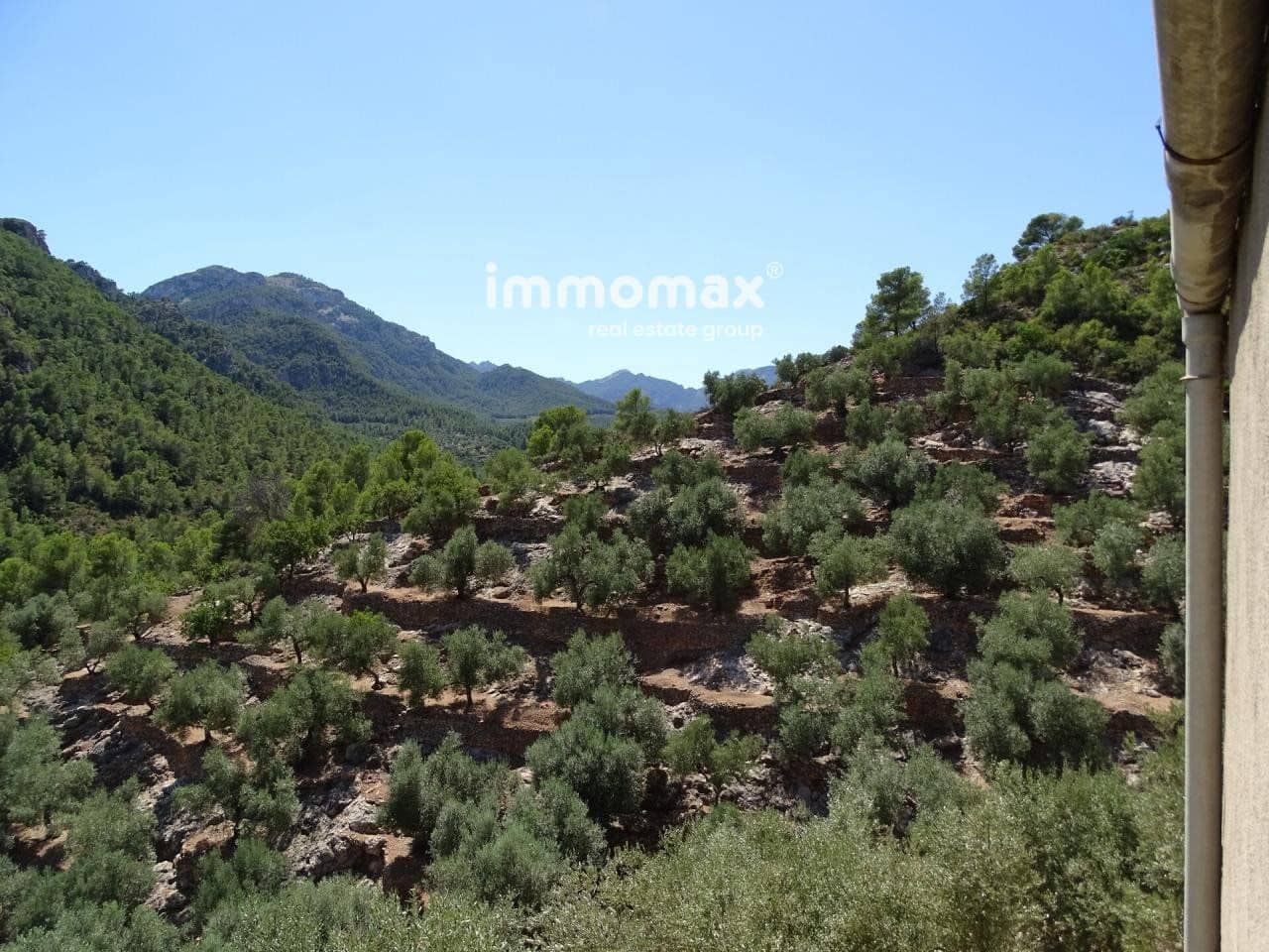 Grunde uden byggetilladelser til salg i Pauls - € 85.000 (Ref: 8050320)