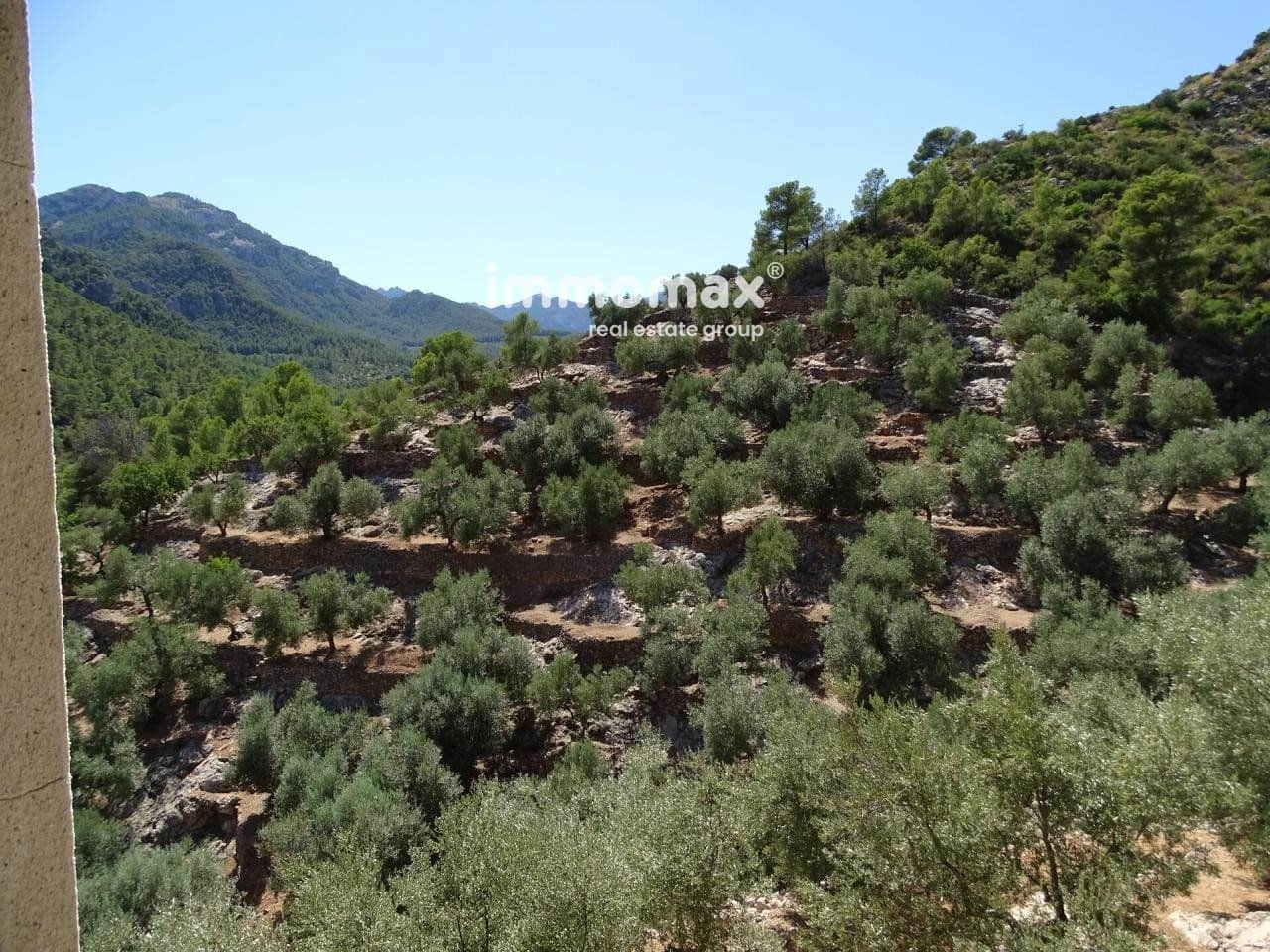 Grunde uden byggetilladelser til salg i Pauls - € 85.000 (Ref: 8050320)