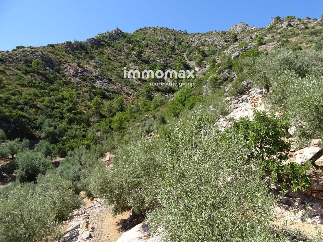 Grunde uden byggetilladelser til salg i Pauls - € 85.000 (Ref: 8050320)